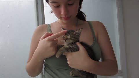 雨天窗边自拍小猫偷走发绳